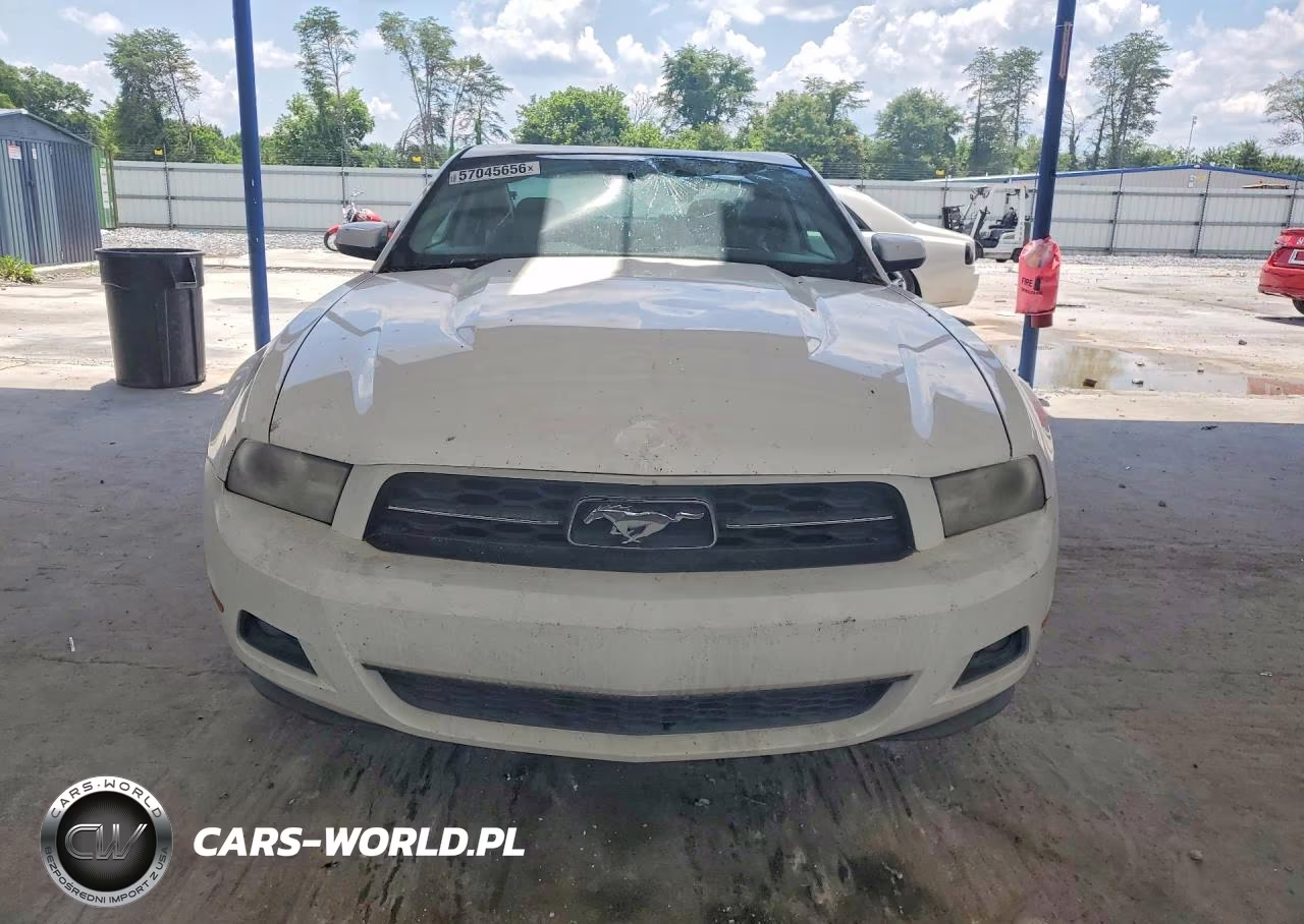 2010 Ford Mustang VIN:1ZVBP8AN8A5128968 - 5
