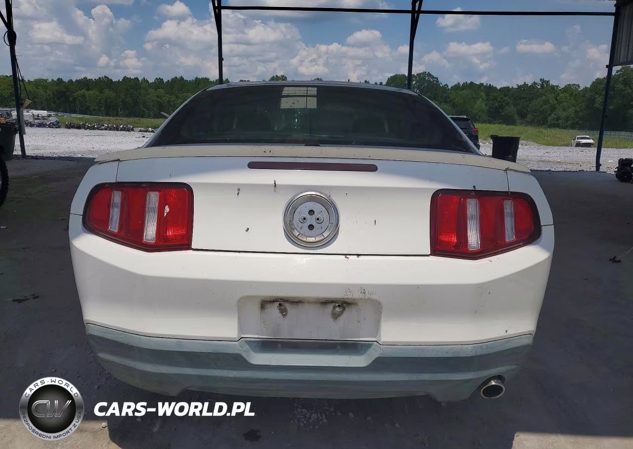 2010 Ford Mustang VIN:1ZVBP8AN8A5128968 - 6
