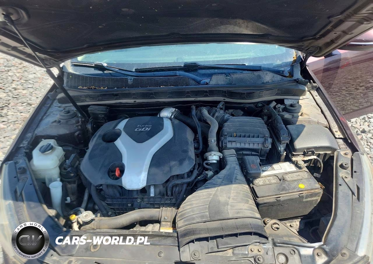 2011 Kia Optima Ex Turbo VIN:KNAGN4A66B5162664 - 11