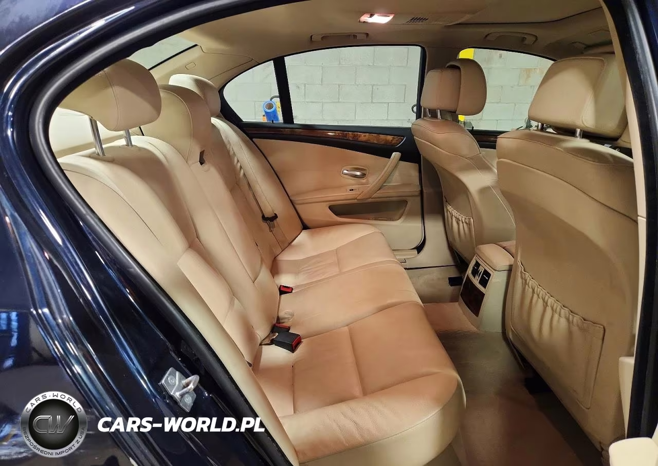 2010 BMW 528 Xi VIN:WBANV1C58AC389357 - 10