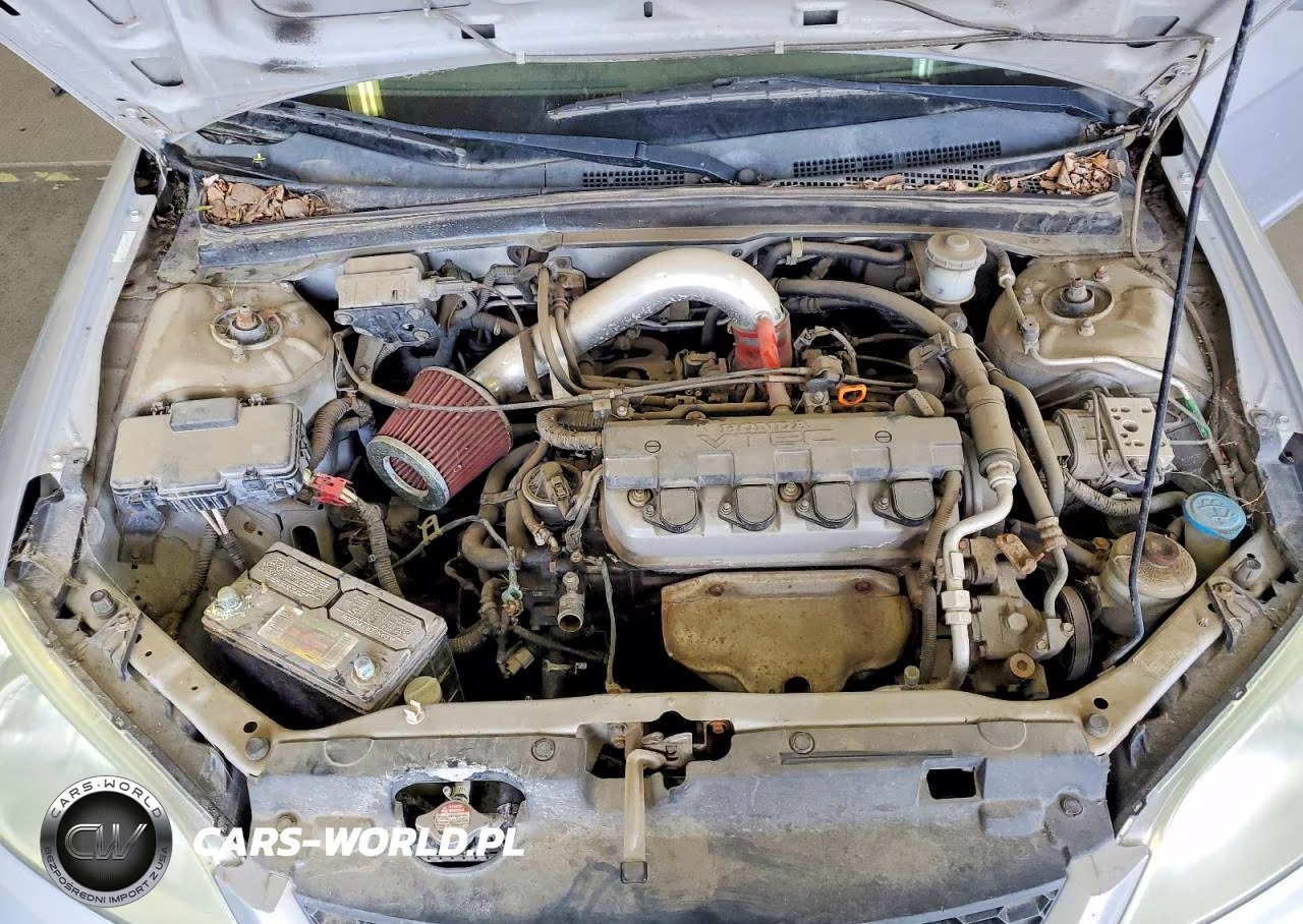 2004 Honda Civic Ex VIN:1HGEM22954L015312 - 11