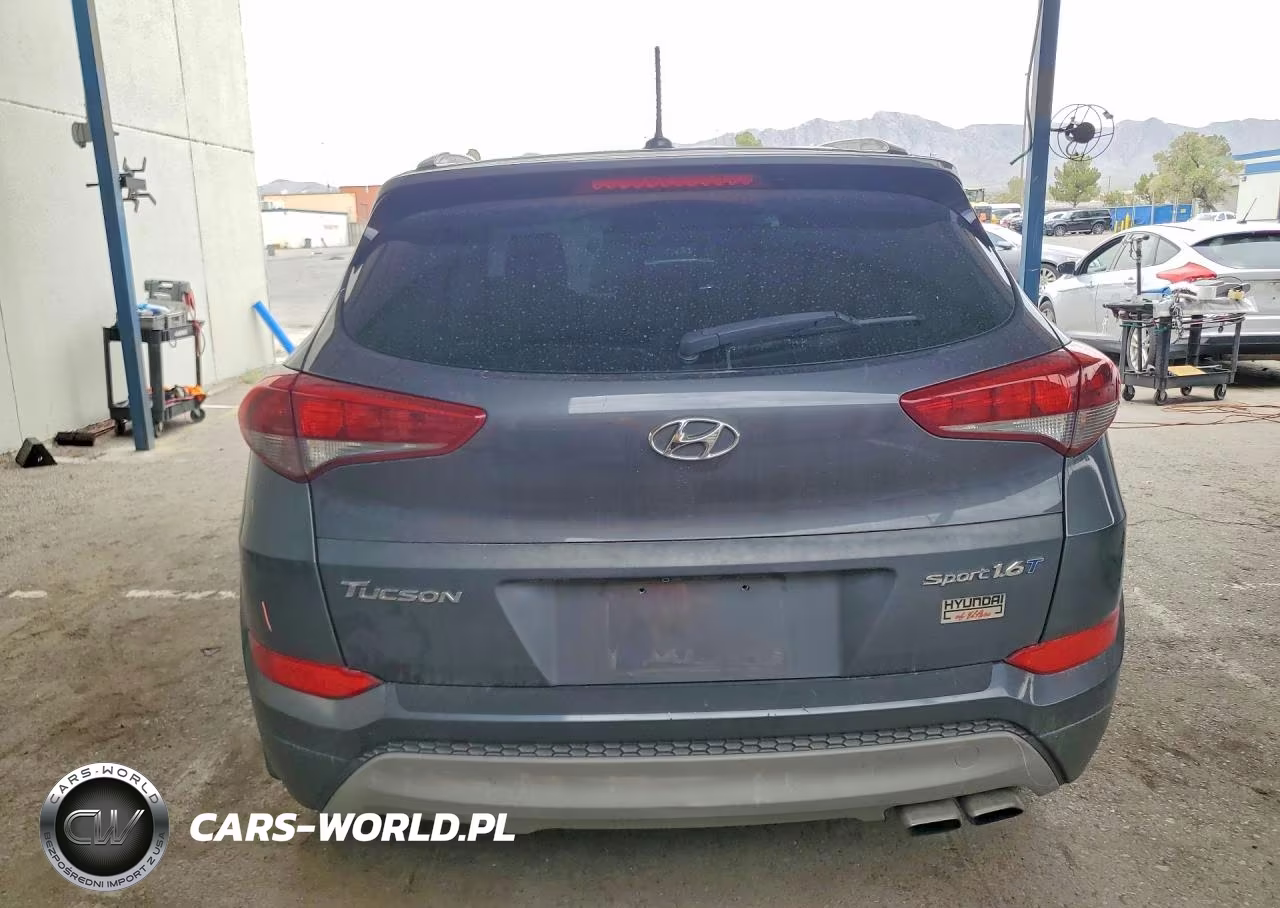 2017 Hyundai Tucson Sport VIN:KM8J33A21HU525940 - 6