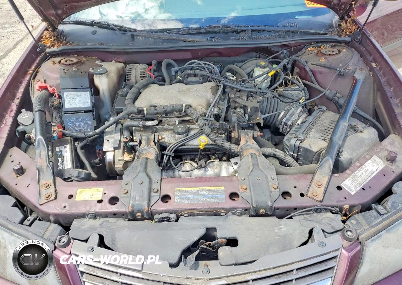 2004 Chevrolet Impala VIN:2G1WF52E849439773 - 11