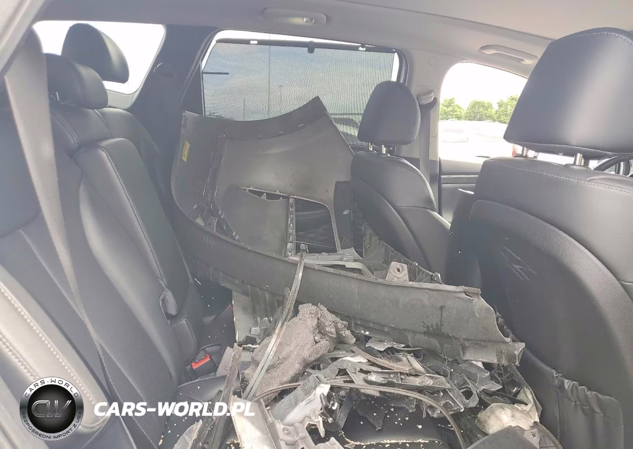 2023 Hyundai Santa Fe Sel Premium VIN:5NMS3DA16PH005972 - 11