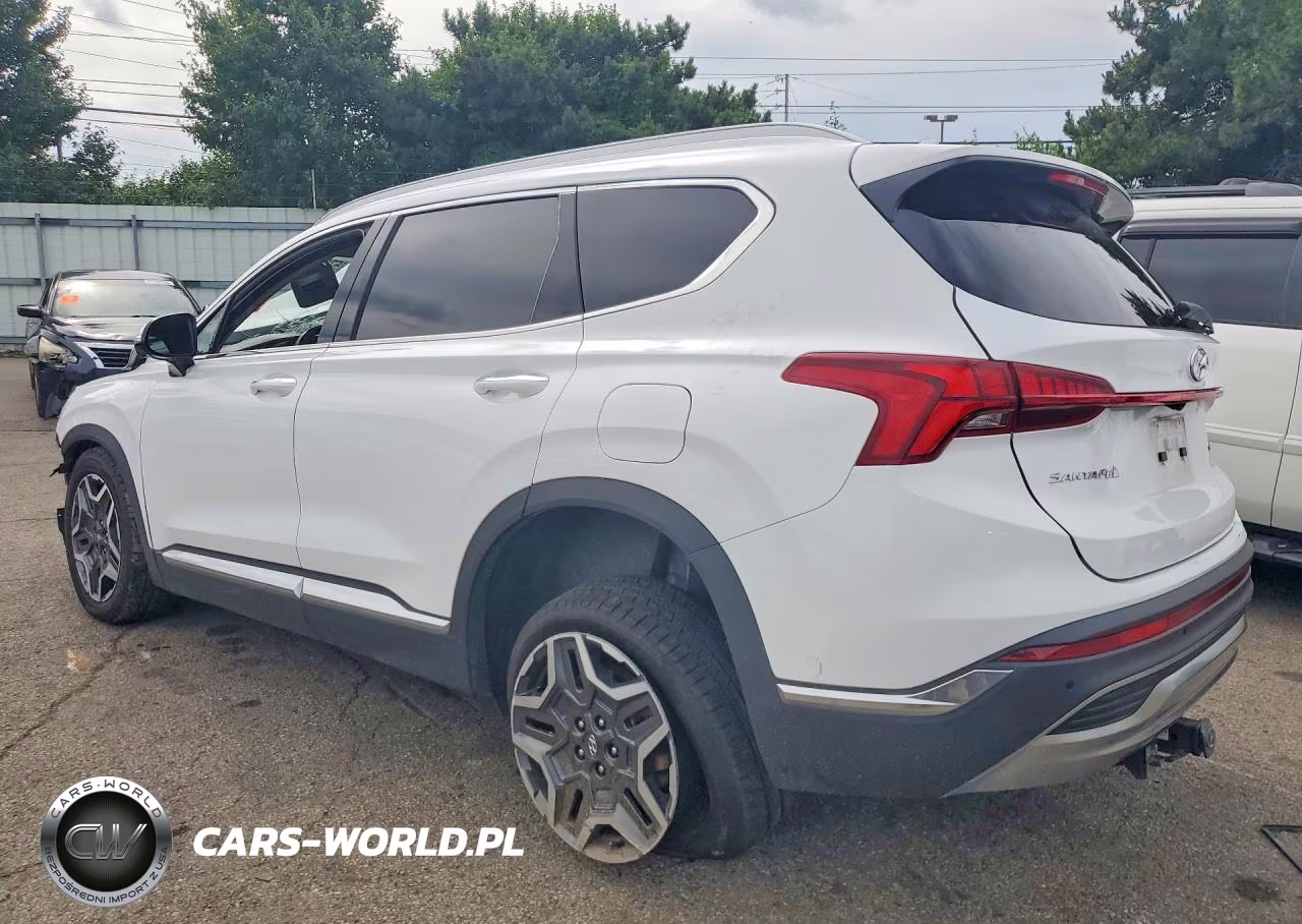 2023 Hyundai Santa Fe Sel Premium VIN:5NMS3DA16PH005972 - 2