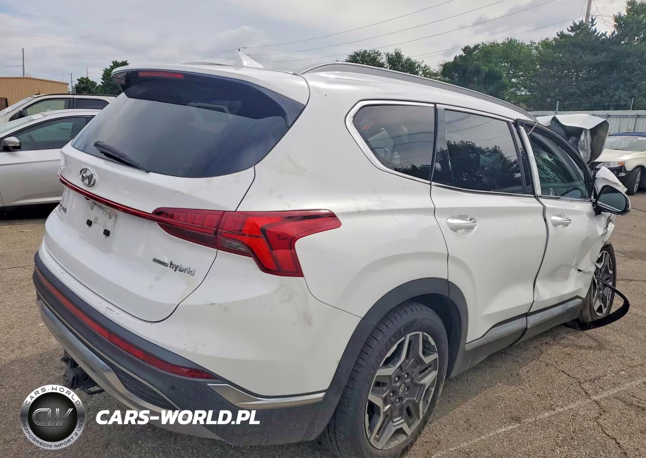 2023 Hyundai Santa Fe Sel Premium VIN:5NMS3DA16PH005972 - 3
