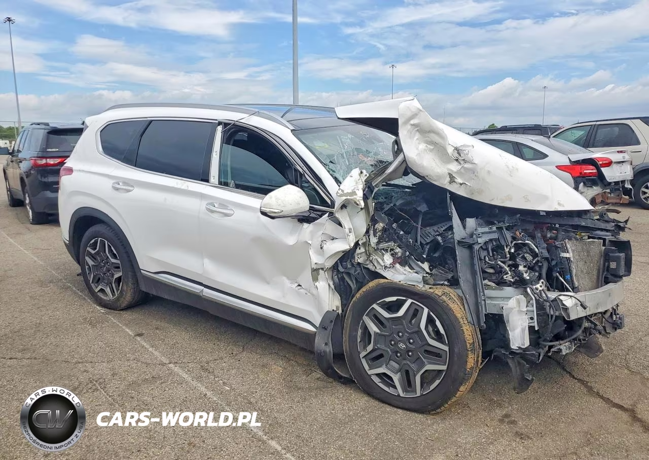 2023 Hyundai Santa Fe Sel Premium VIN:5NMS3DA16PH005972 - 4