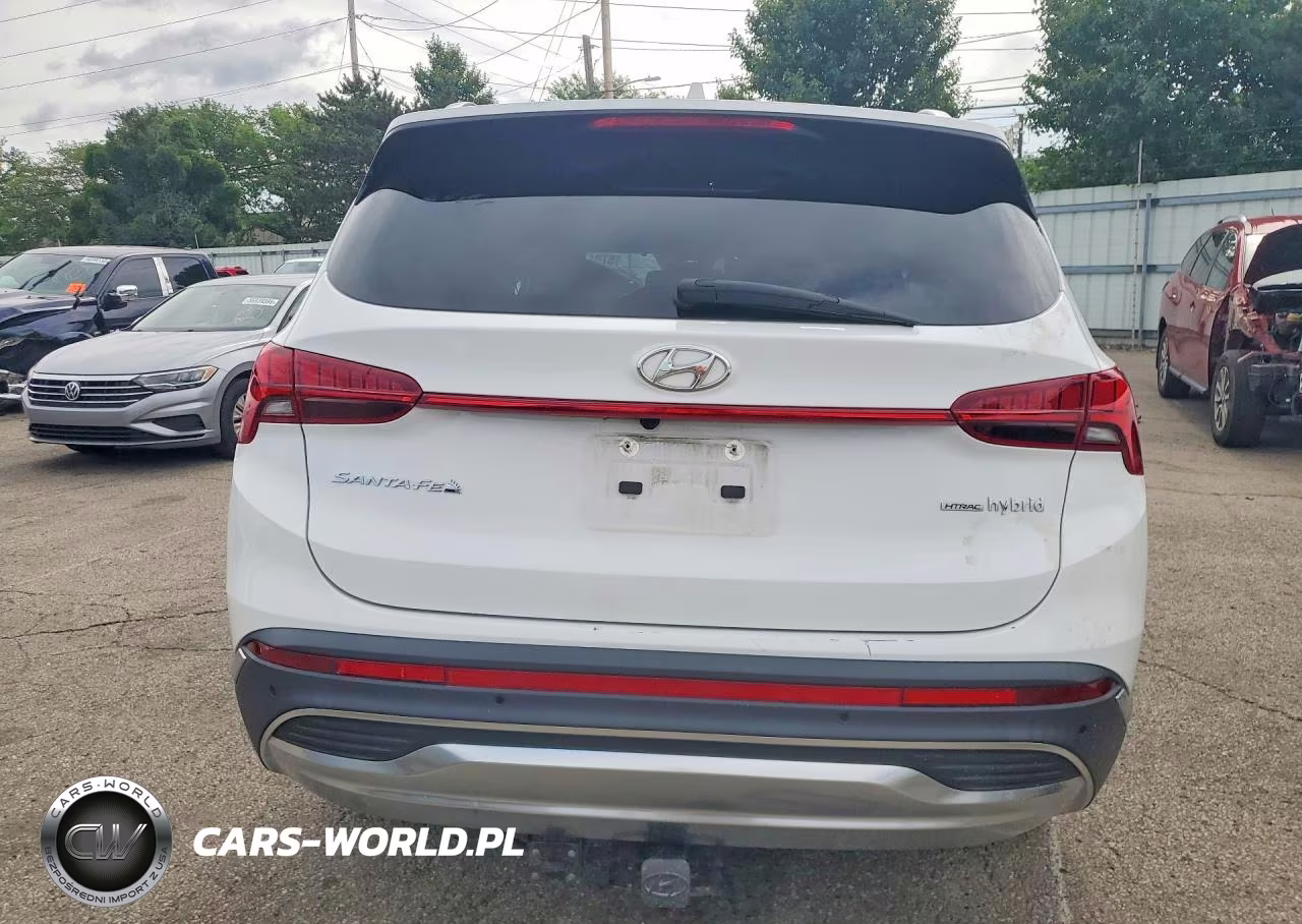 2023 Hyundai Santa Fe Sel Premium VIN:5NMS3DA16PH005972 - 6