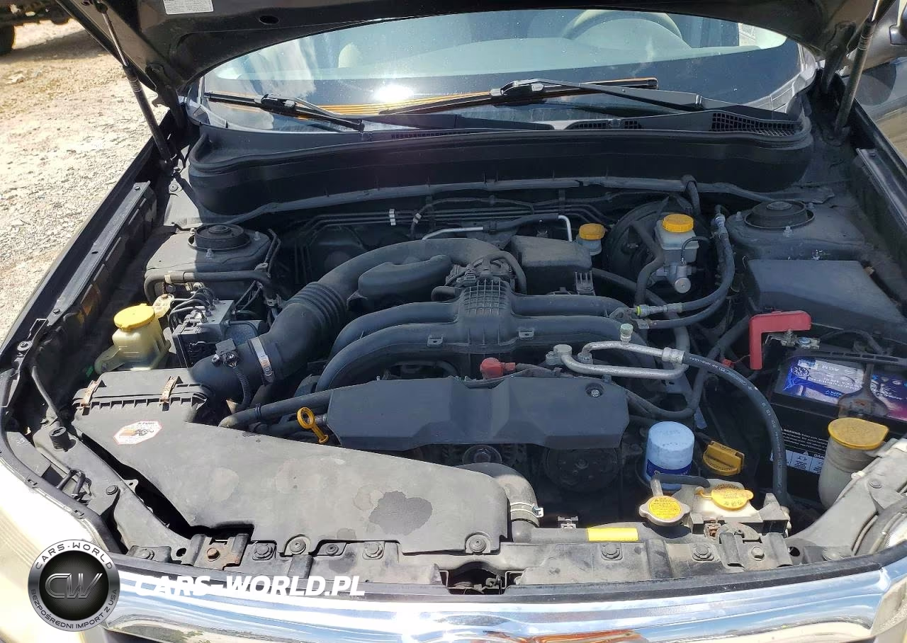 2013 Subaru Forester 2.5X Premium VIN:JF2SHADC7DG400258 - 12