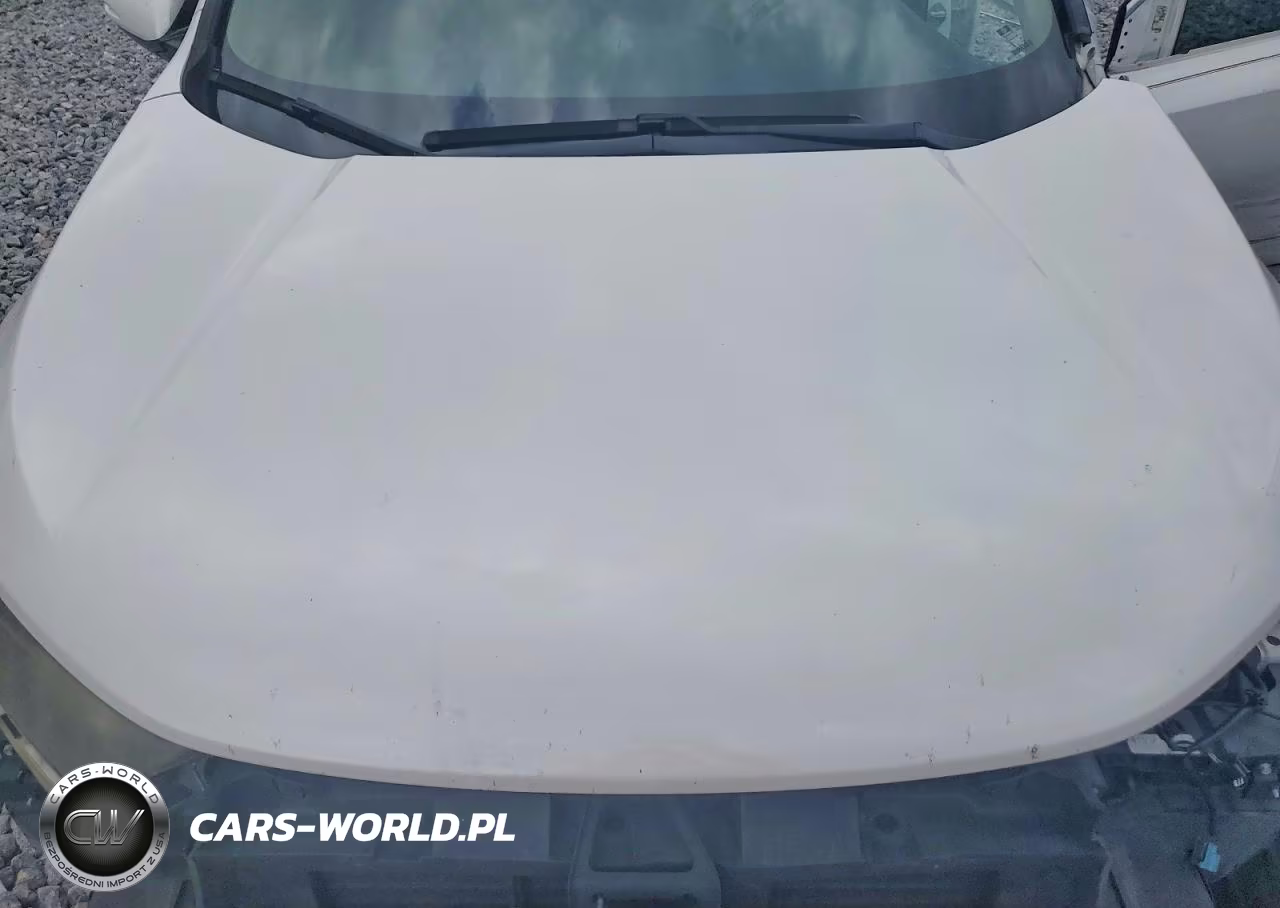 2019 Honda Cr-V Exl VIN:5J6RW1H89KA018008 - 11