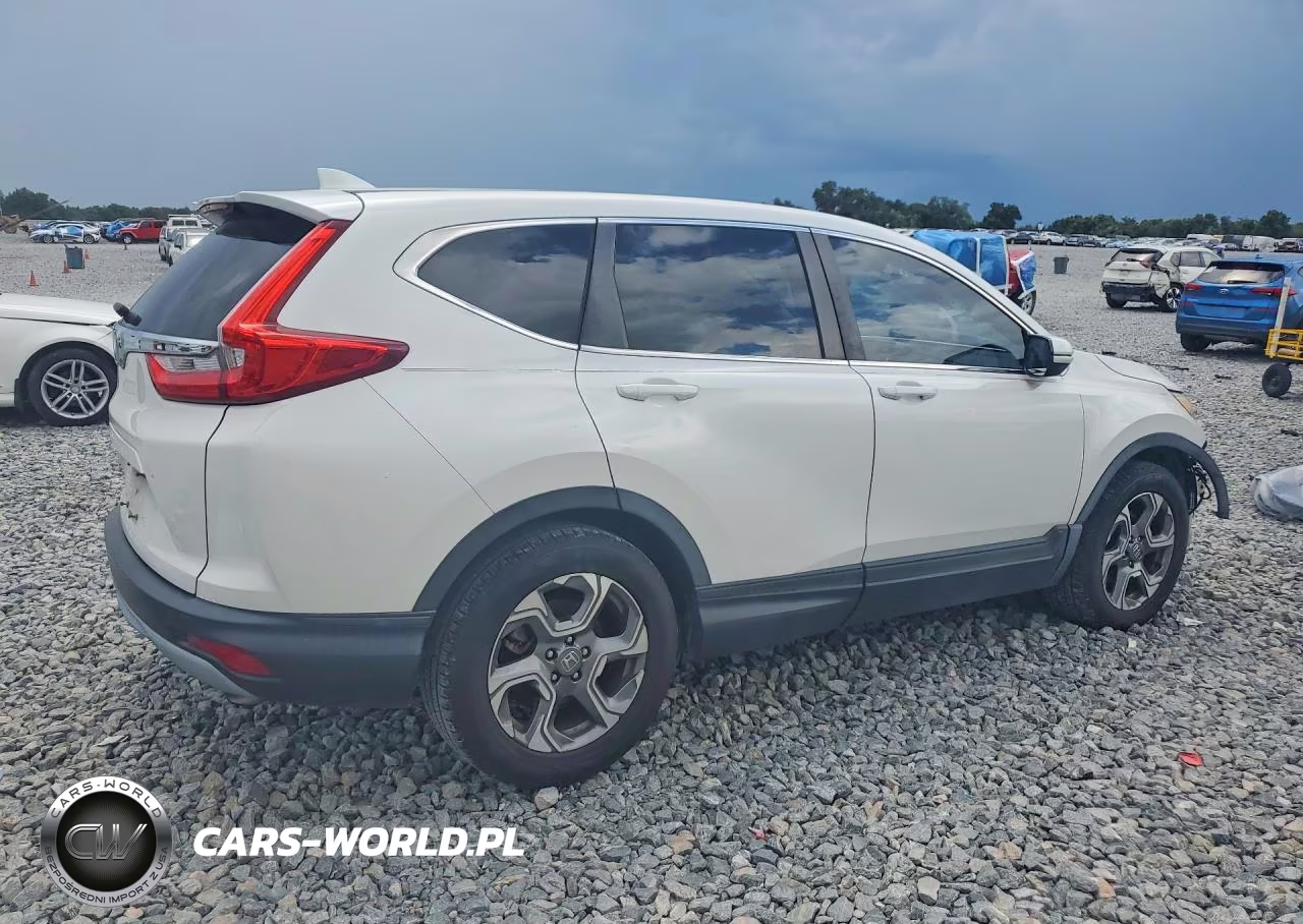 2019 Honda Cr-V Exl VIN:5J6RW1H89KA018008 - 3