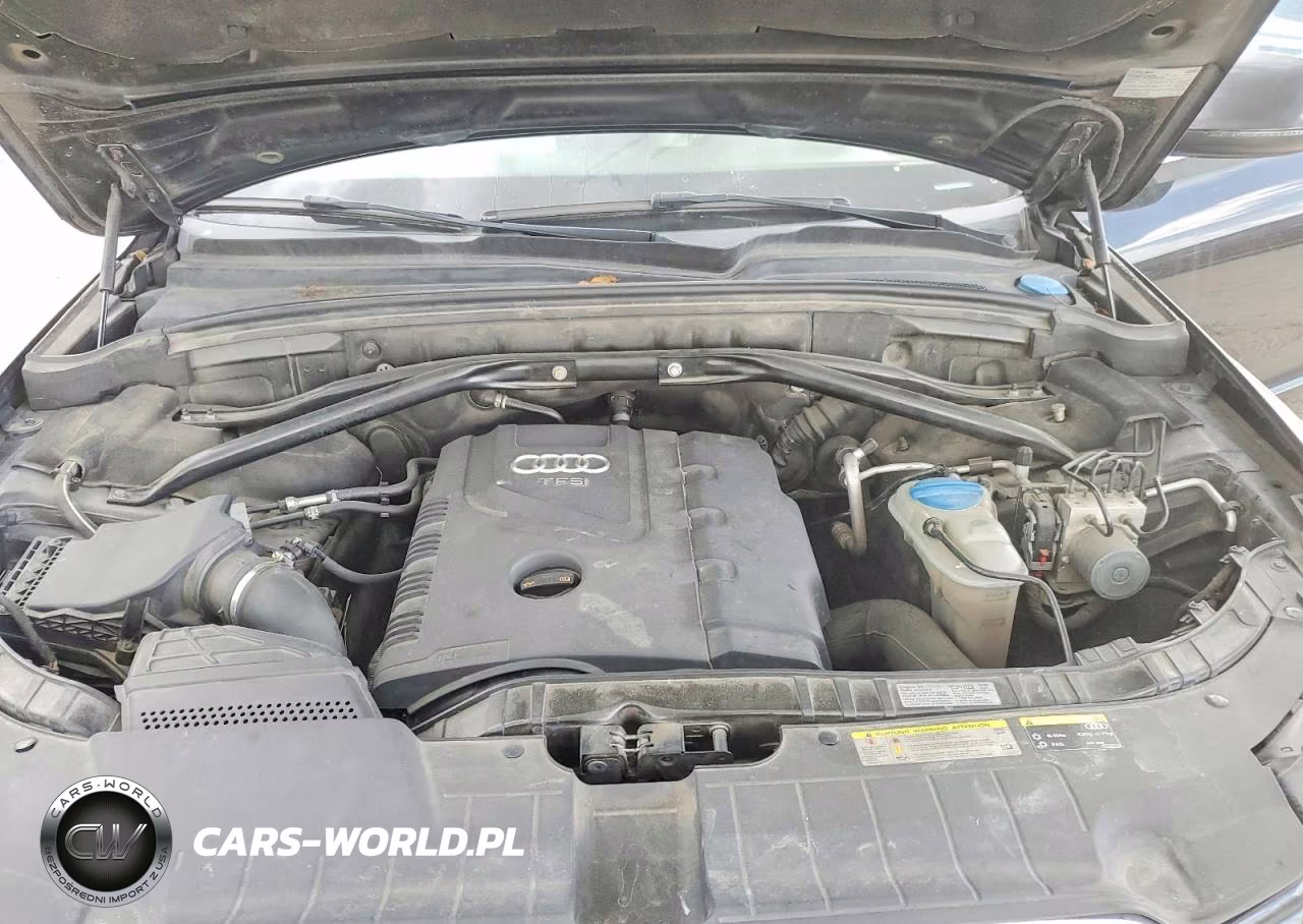 2013 Audi Q5 Premium Plus VIN:WA1LFAFP7DA061085 - 12