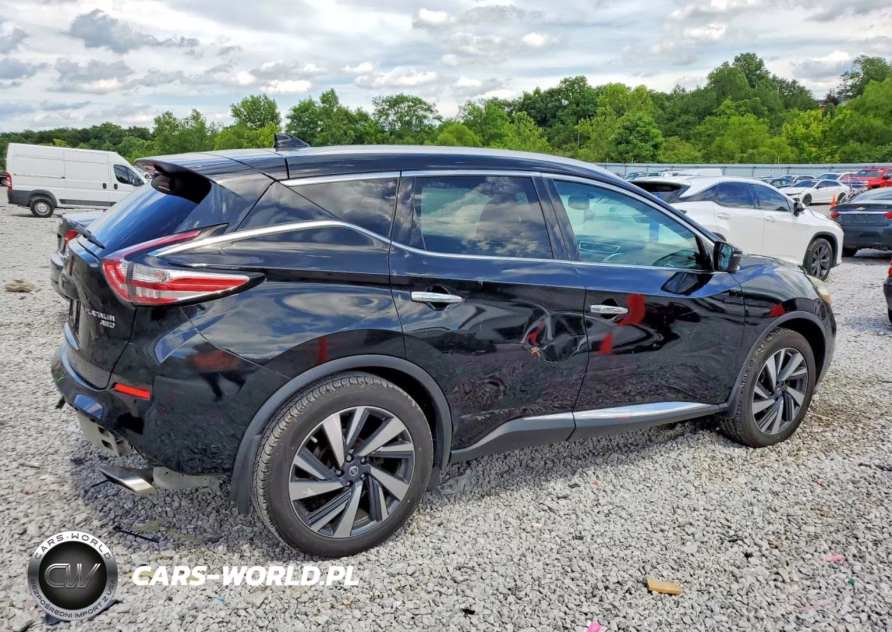 2016 Nissan Murano Platinum VIN:5N1AZ2MH1GN166879 - 3