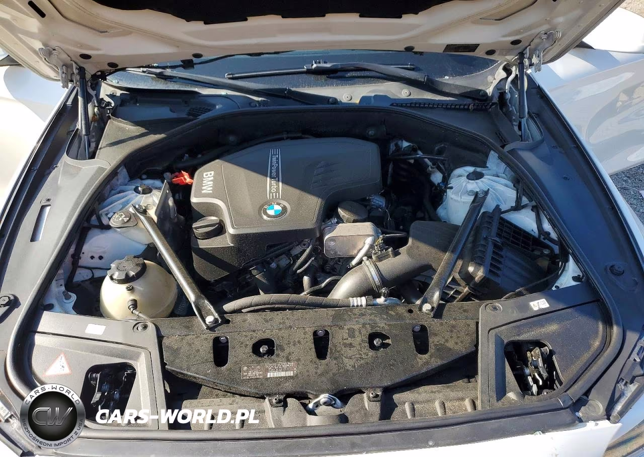 2013 BMW 528 I VIN:WBAXG5C56DDY33991 - 11