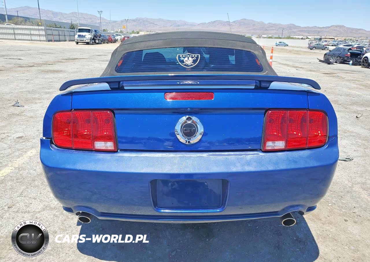 2008 Ford Mustang Gt VIN:1ZVHT85H885156872 - 6