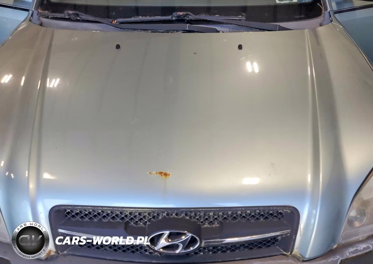 2008 Hyundai Tucson Se VIN:KM8JN72D98U829597 - 11