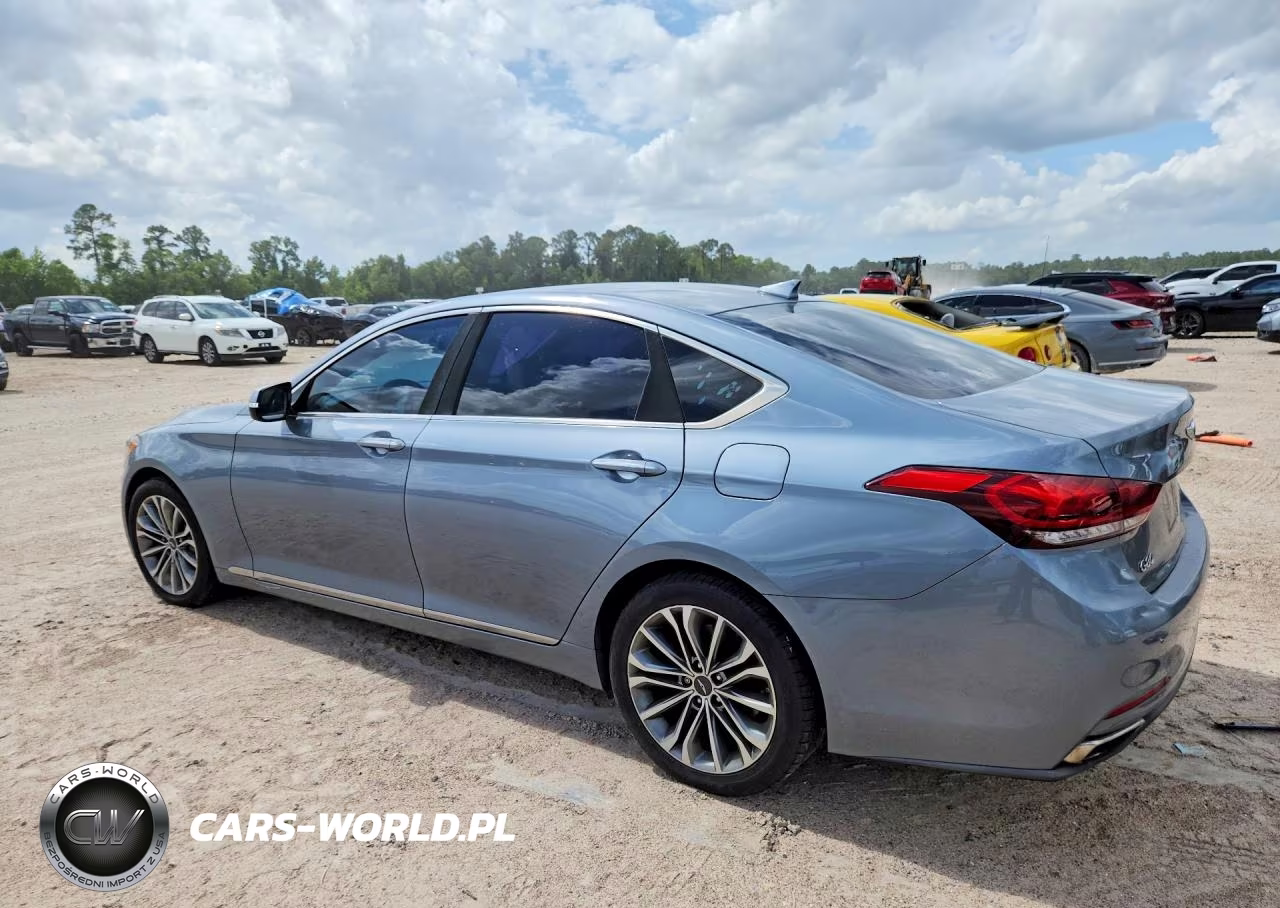2017 Genesis G80 3.8 VIN:KMHGN4JE3HU170841 - 2