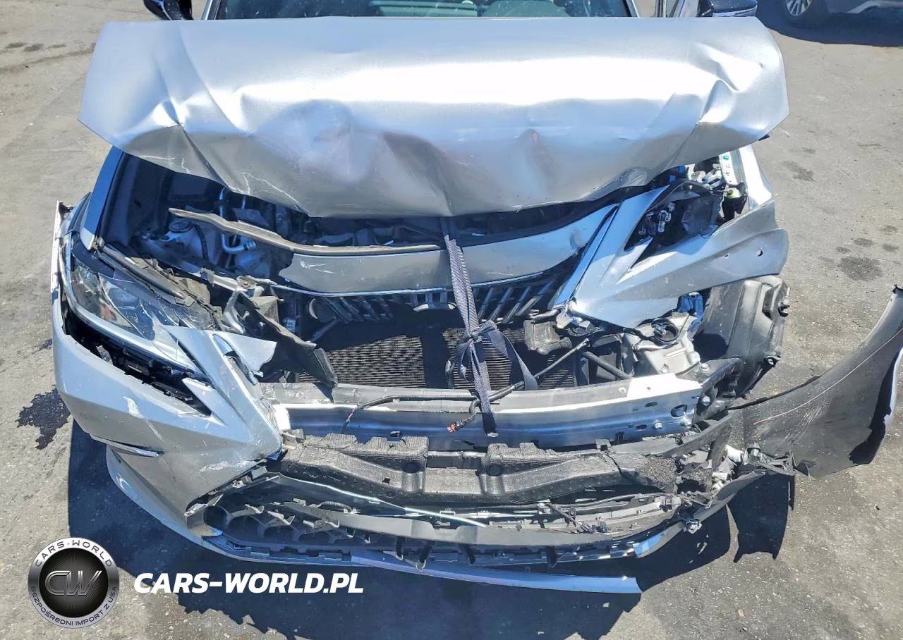2025 Lexus Es 300H Base VIN:58ADA1C16SU063676 - 11