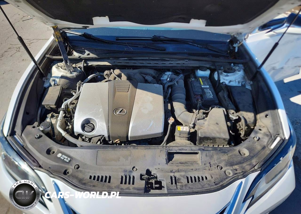 2020 Lexus Es 350 VIN:58ADZ1B16LU061051 - 11