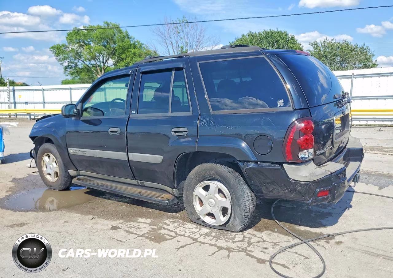 2003 Chevrolet Trailblazer VIN:1GNDS13S032291419 - 2