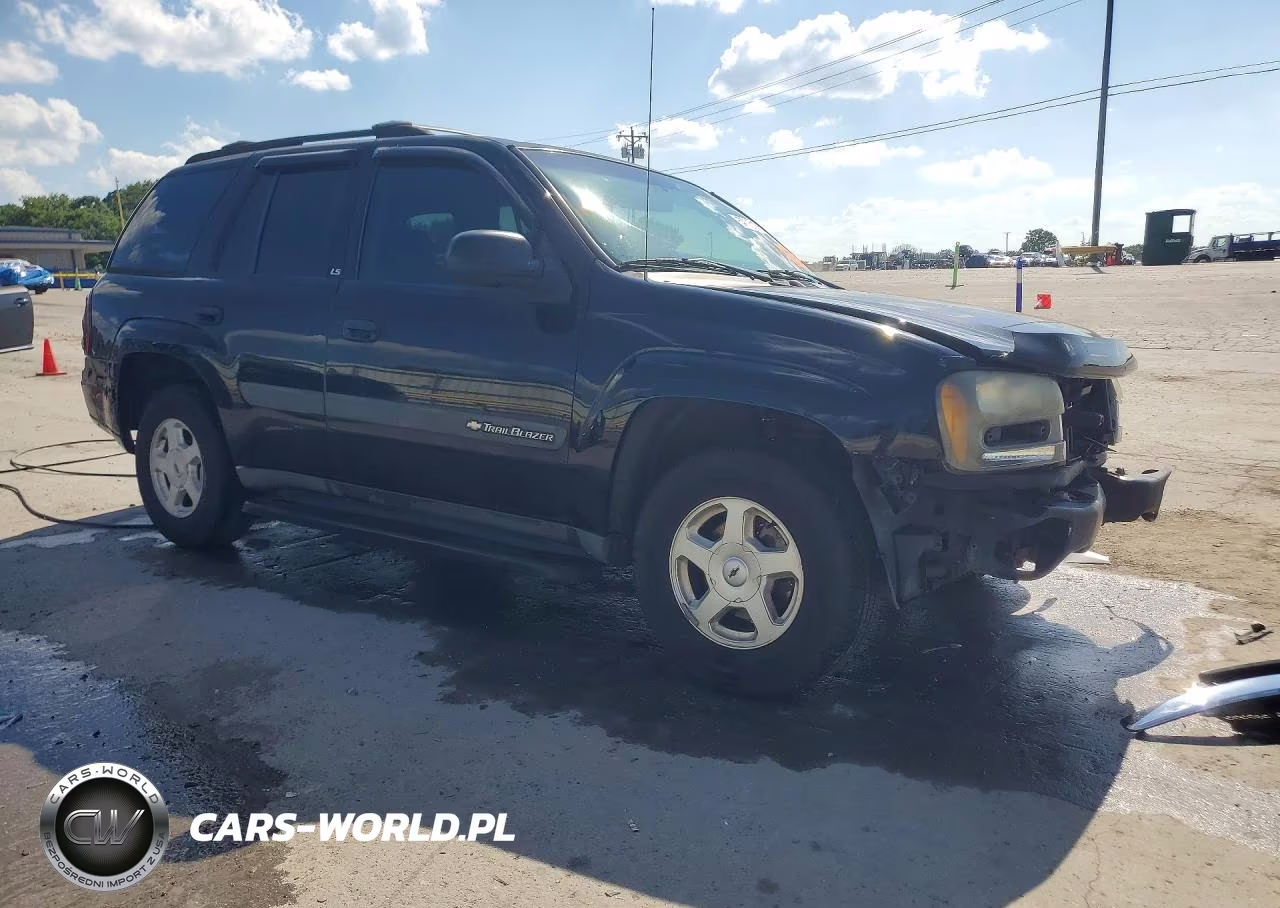 2003 Chevrolet Trailblazer VIN:1GNDS13S032291419 - 4