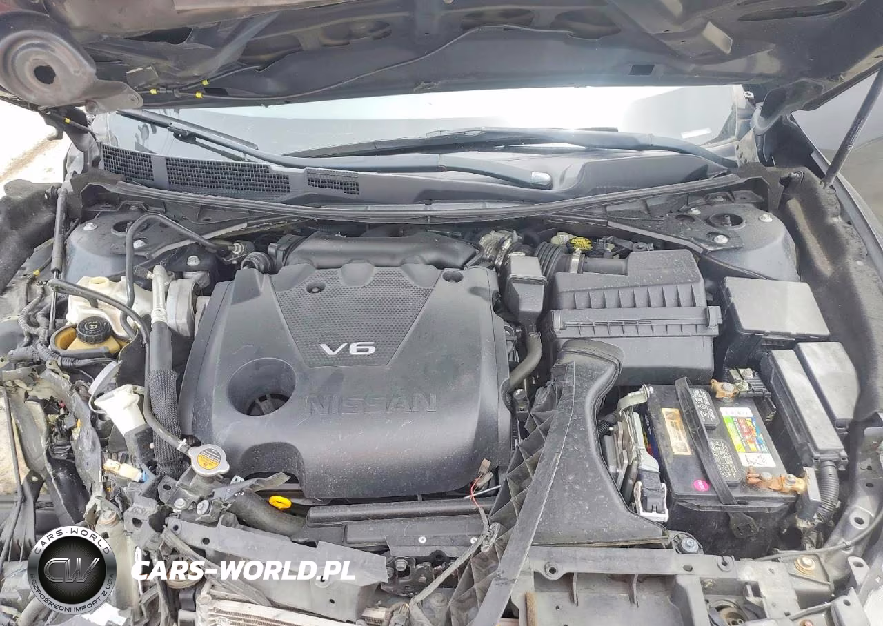 2017 Nissan Maxima Platinum VIN:1N4AA6AP0HC428425 - 11