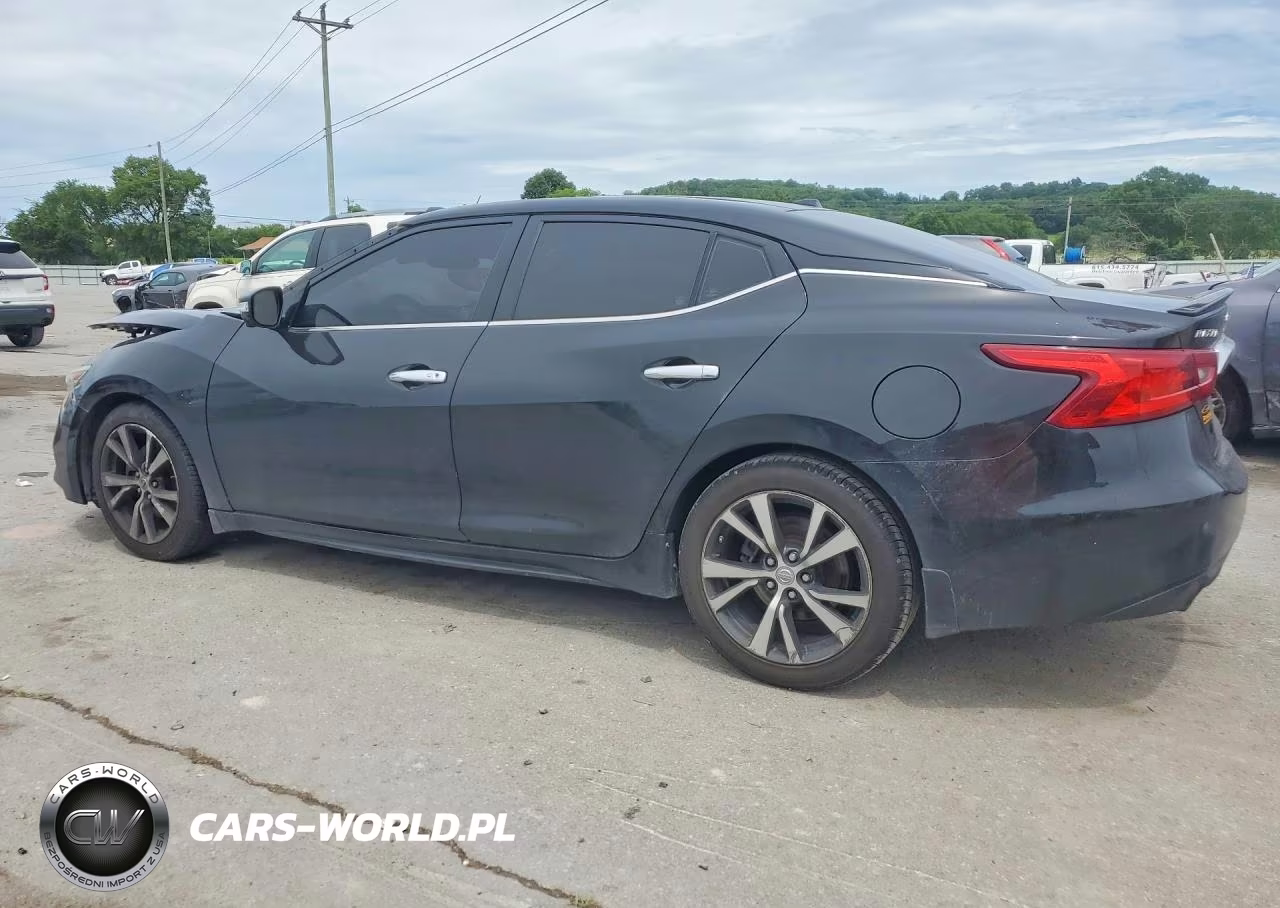 2017 Nissan Maxima Platinum VIN:1N4AA6AP0HC428425 - 2