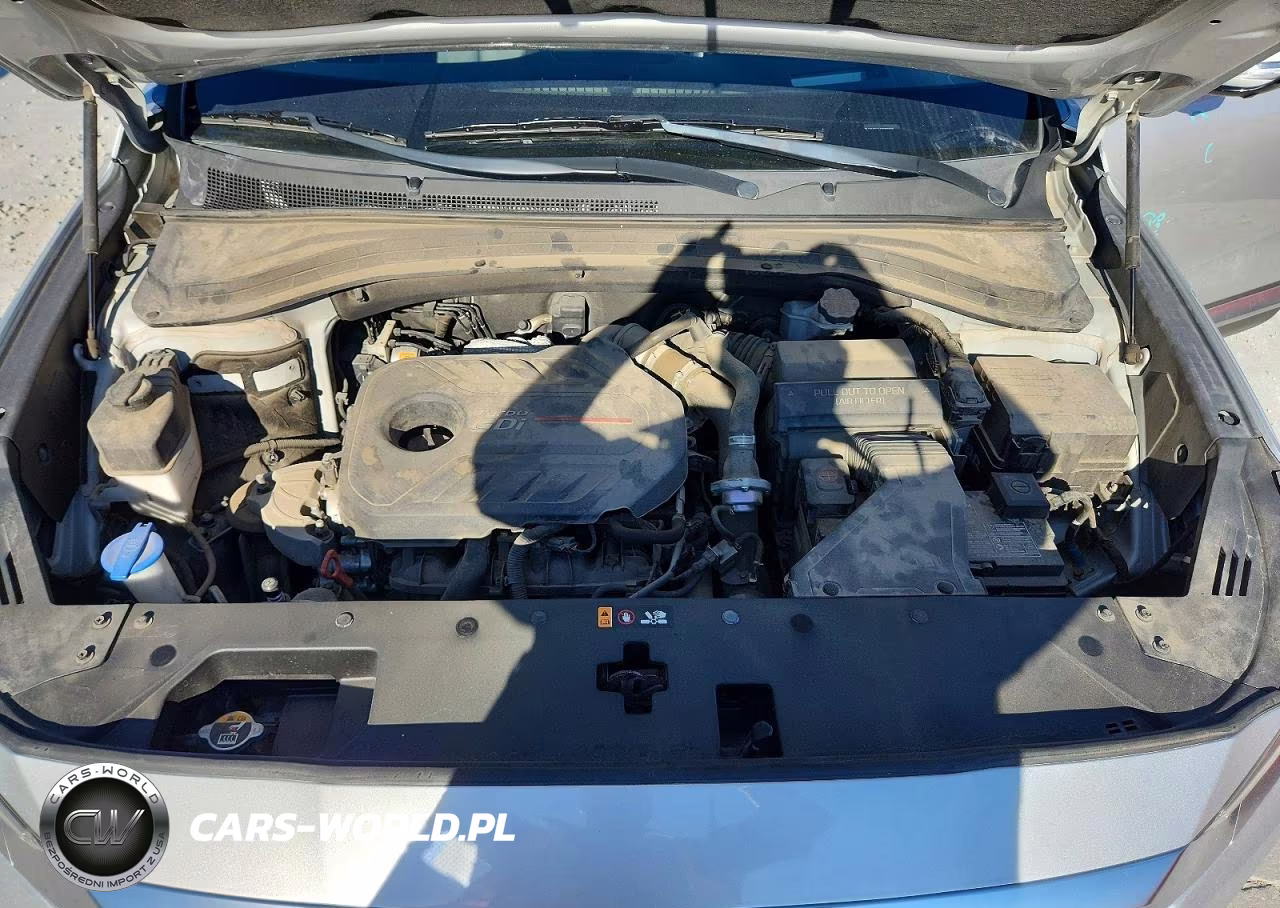 2019 Hyundai Santa Fe Ultimate 2.0T VIN:5NMS53AA3KH052938 - 12