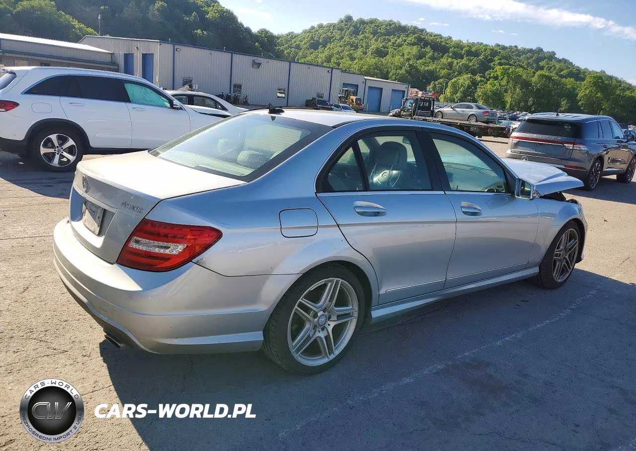 2014 Mercedes-Benz C 300 4Matic VIN:WDDGF8AB2EA889368 - 3