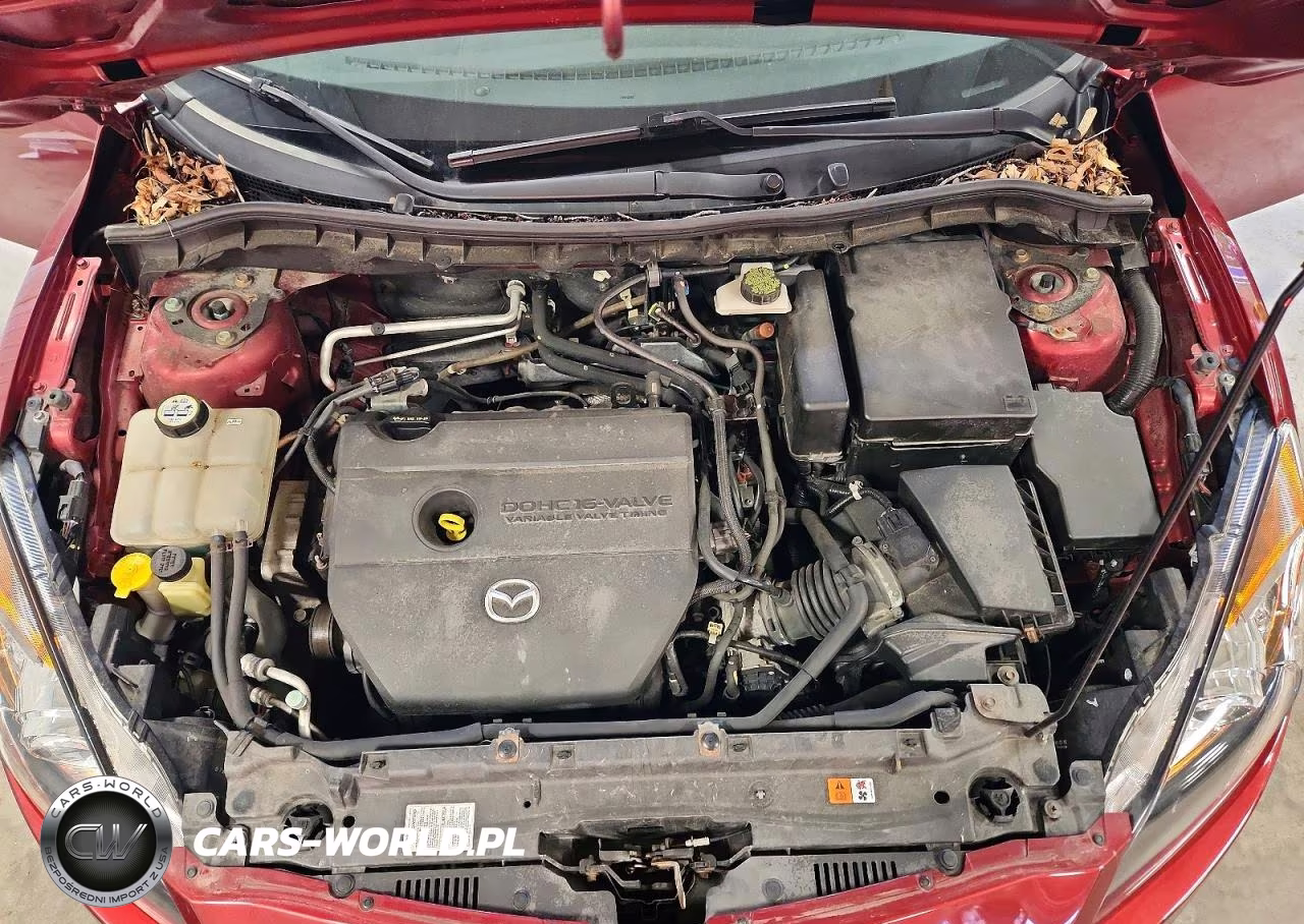 2010 Mazda 3 I VIN:JM1BL1SFXA1196080 - 11