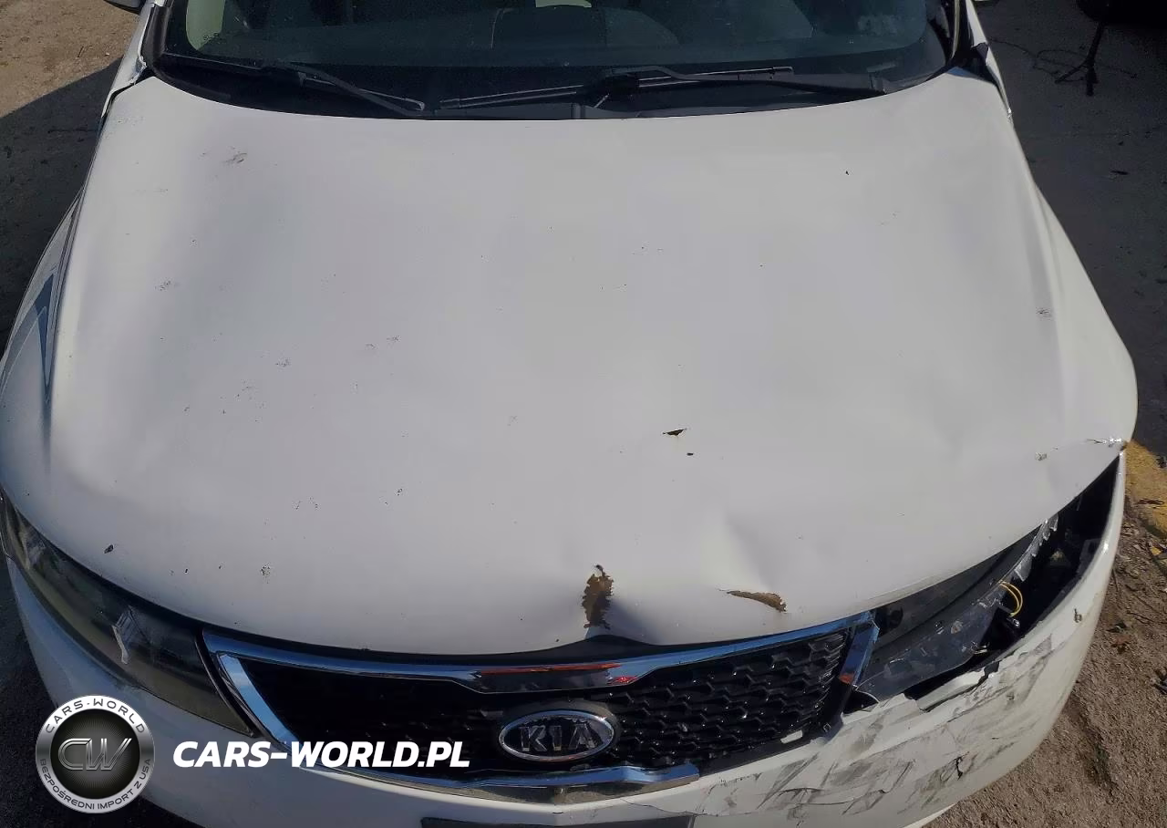 2013 Kia Forte Lx VIN:KNAFT4A29D5678471 - 11