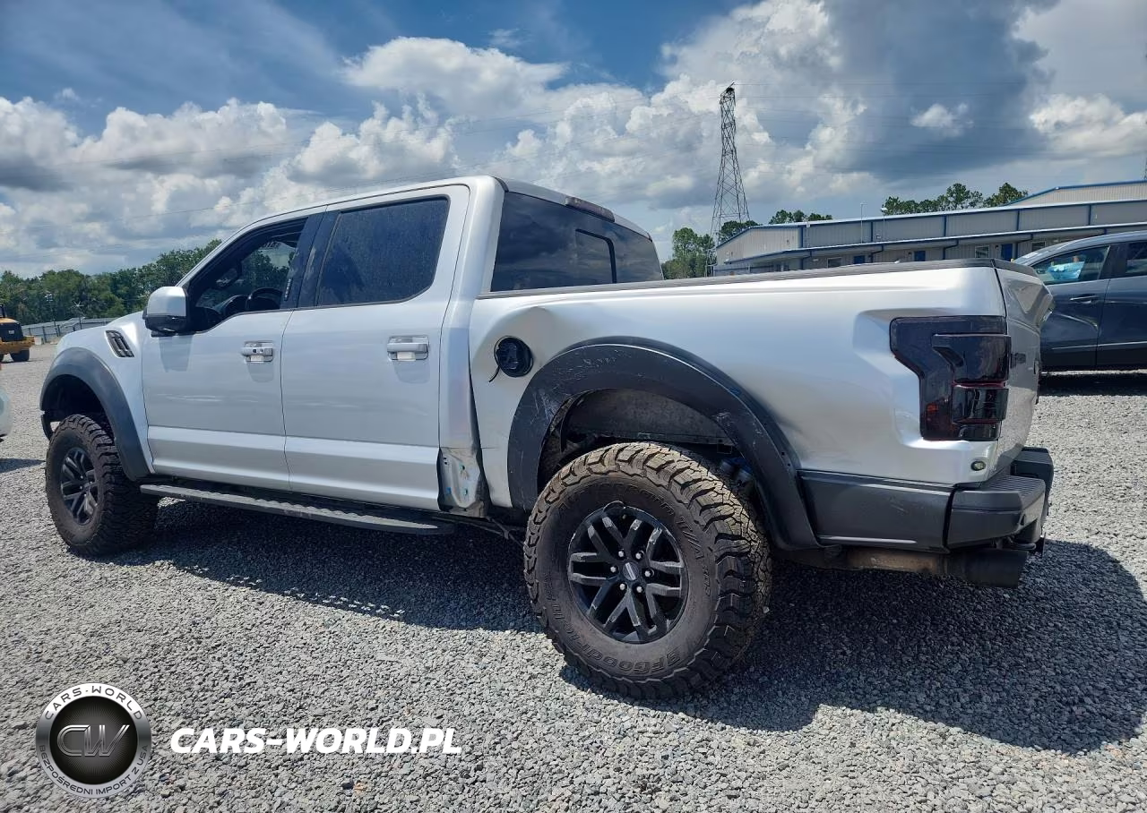 2017 Ford F150 Raptor VIN:1FTFW1RG1HFA30809 - 2