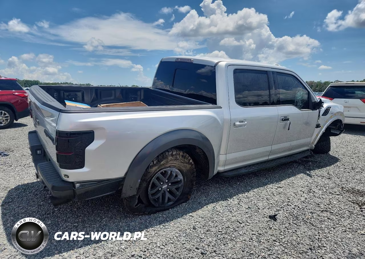 2017 Ford F150 Raptor VIN:1FTFW1RG1HFA30809 - 3