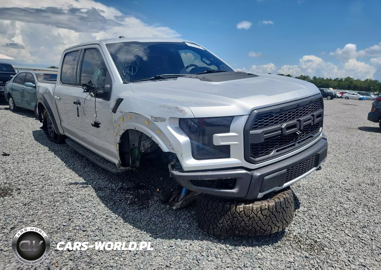 2017 Ford F150 Raptor VIN:1FTFW1RG1HFA30809 - 4