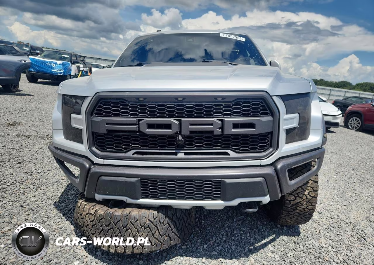 2017 Ford F150 Raptor VIN:1FTFW1RG1HFA30809 - 5