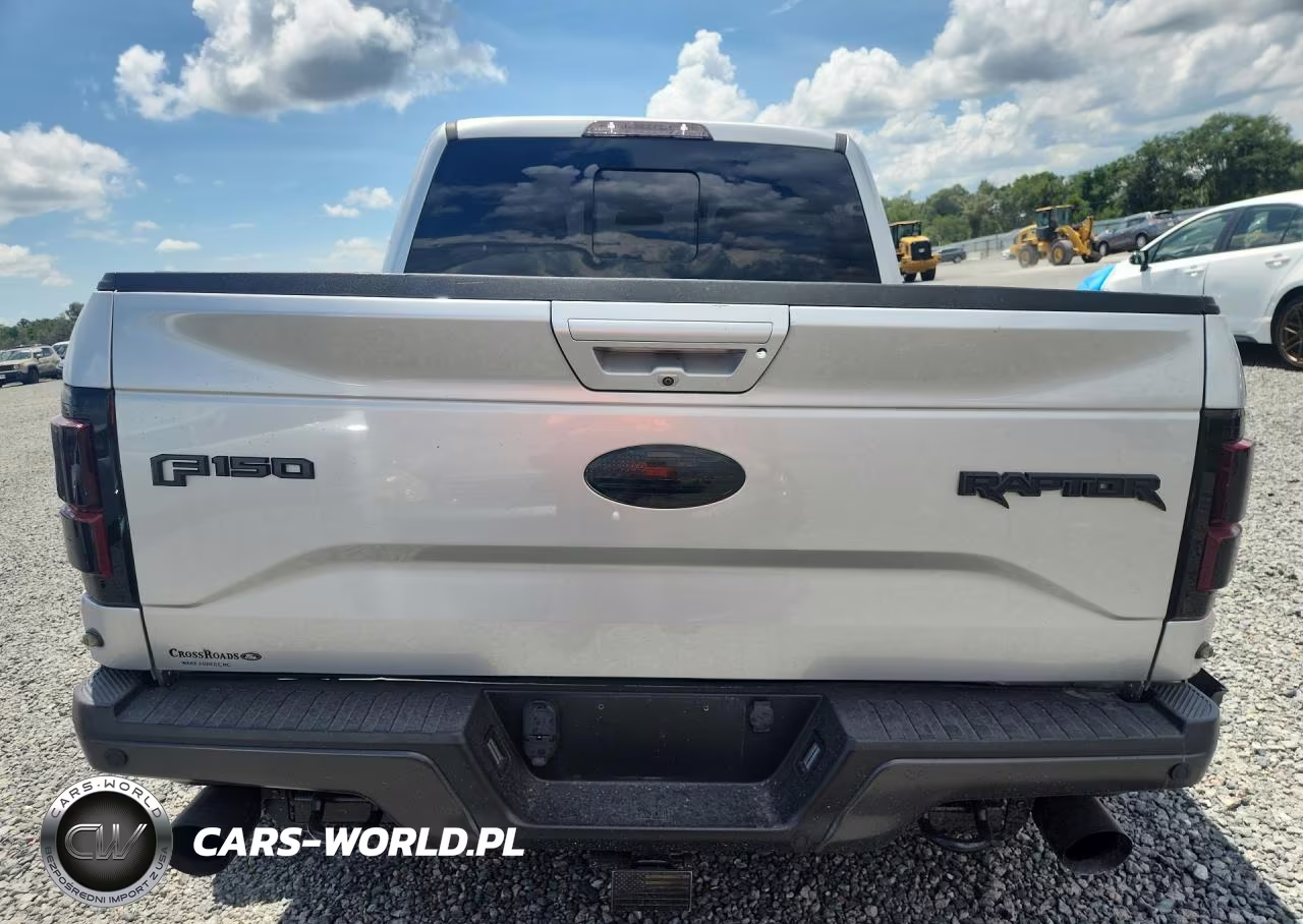 2017 Ford F150 Raptor VIN:1FTFW1RG1HFA30809 - 6