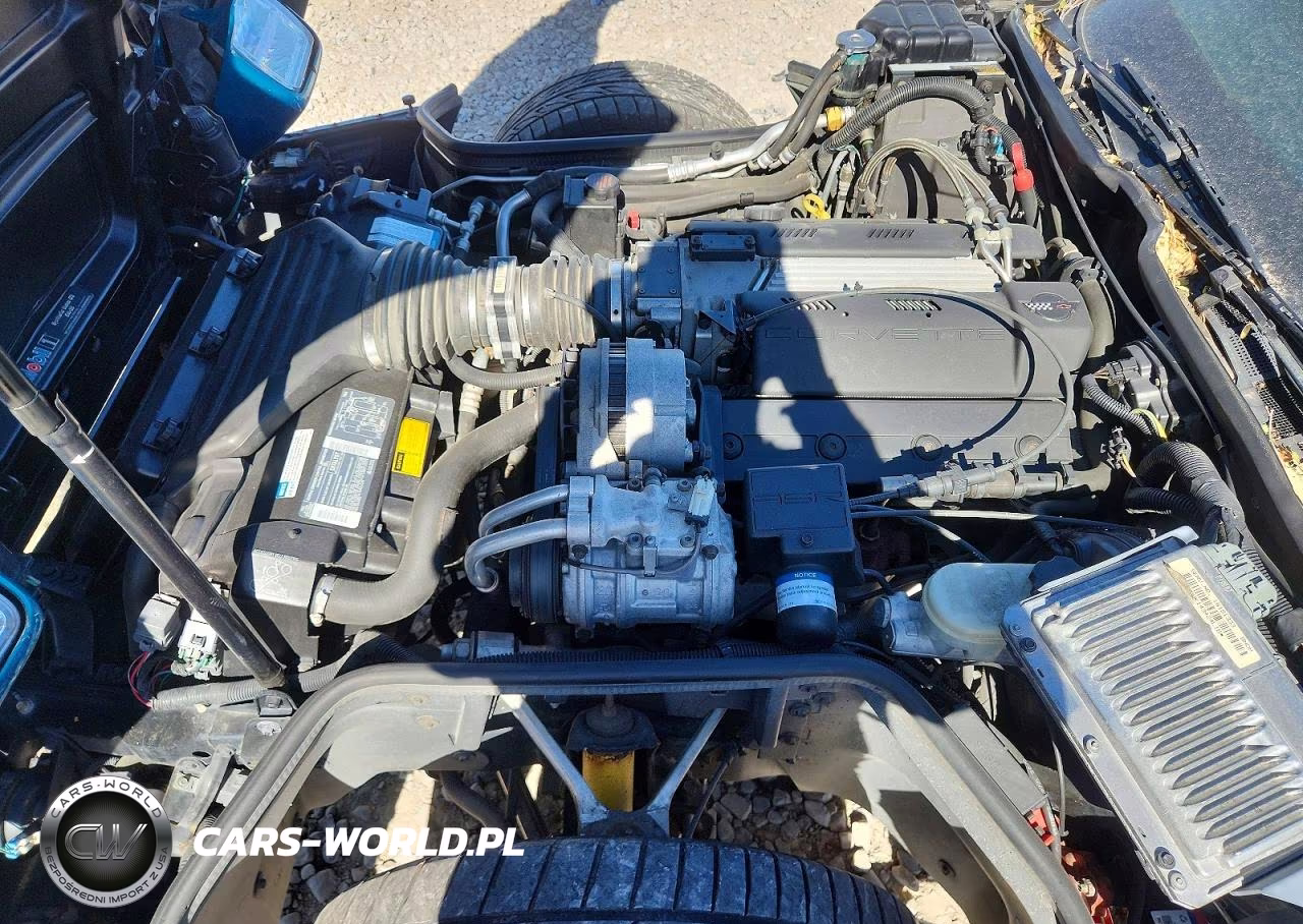 1995 Chevrolet Corvette VIN:1G1YY22P1S5109602 - 11