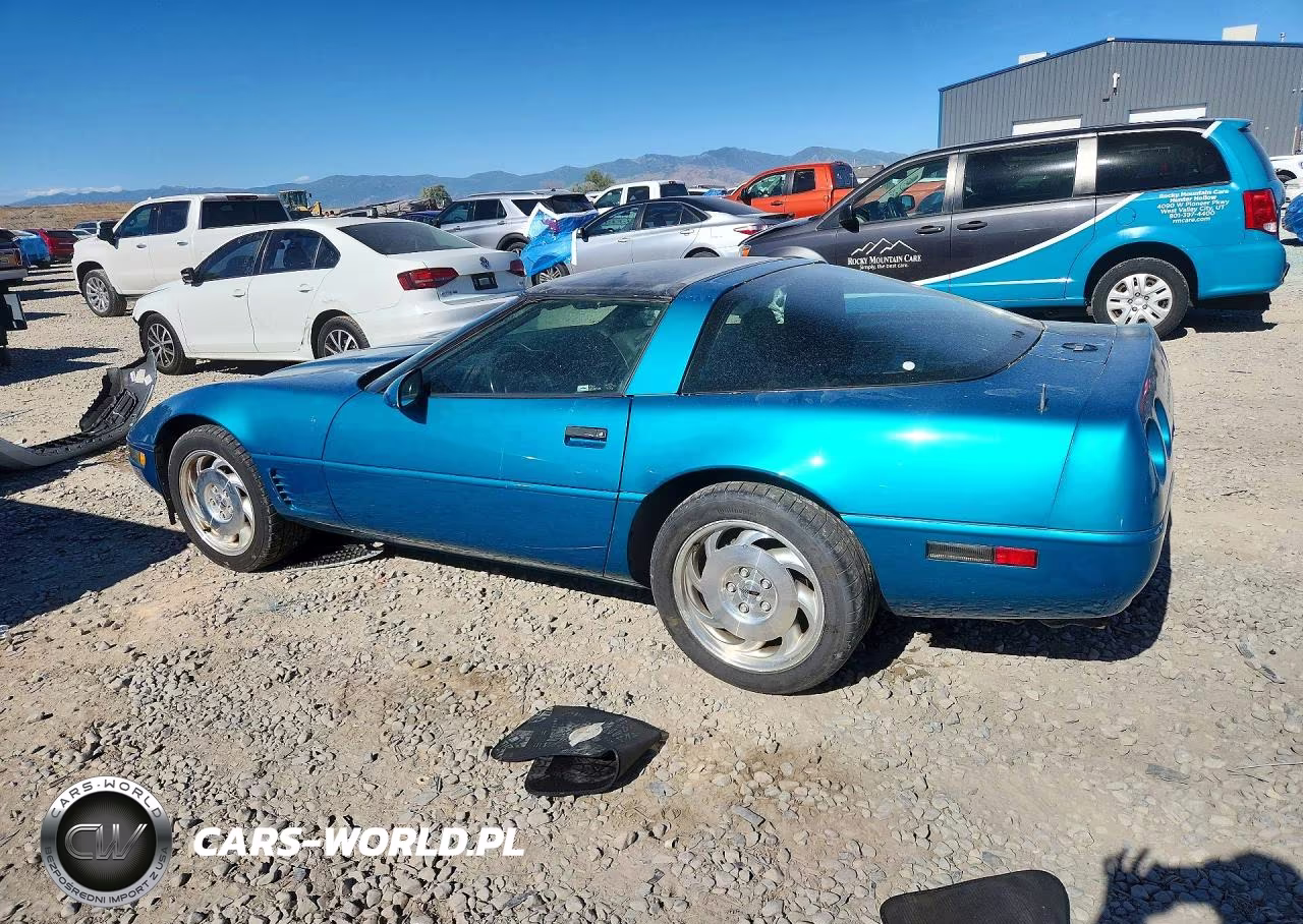 1995 Chevrolet Corvette VIN:1G1YY22P1S5109602 - 2