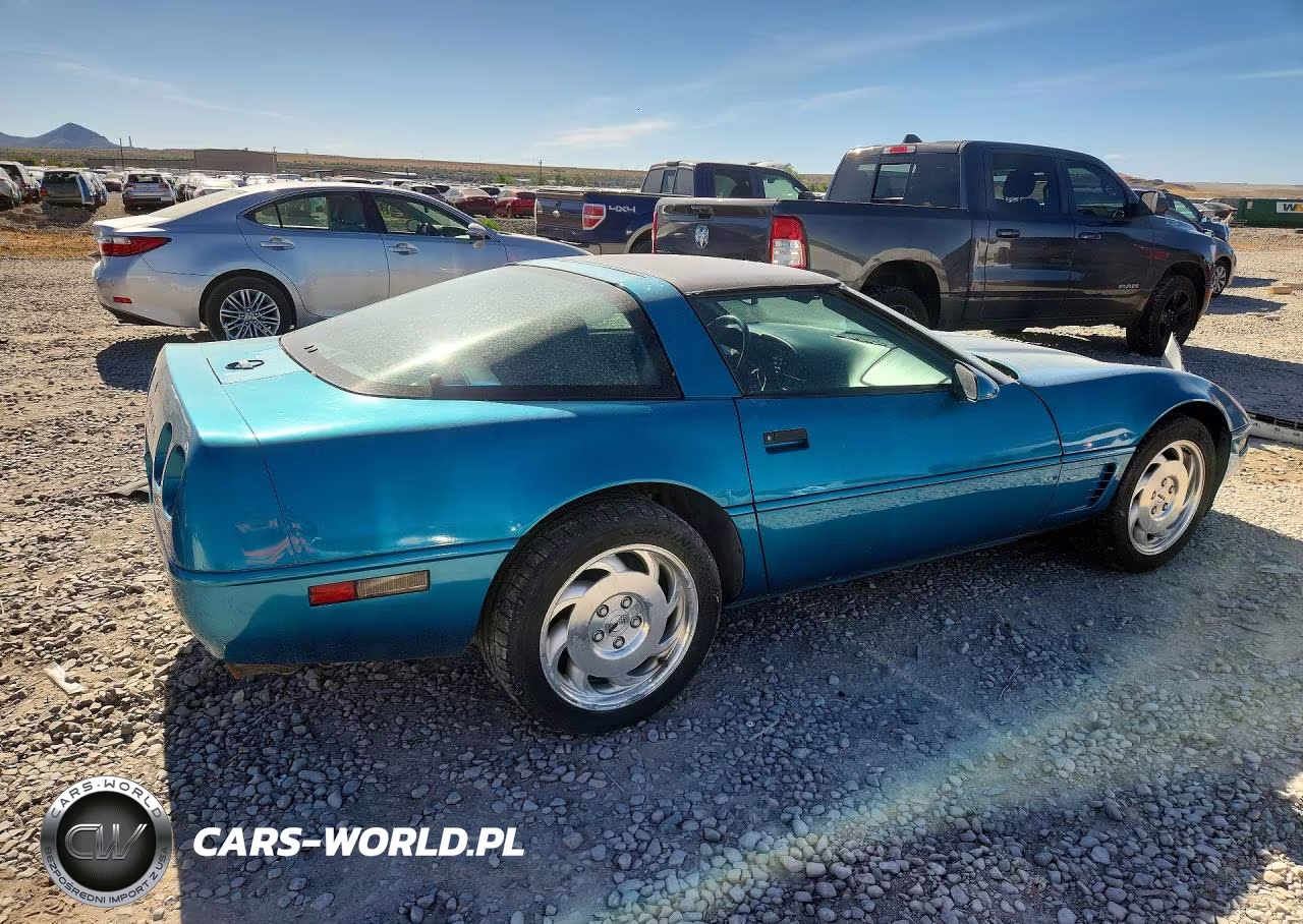 1995 Chevrolet Corvette VIN:1G1YY22P1S5109602 - 3