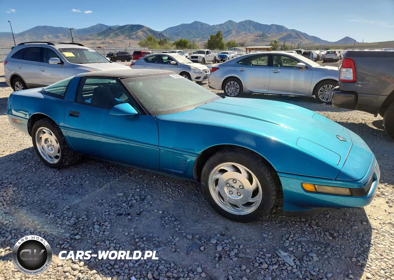 1995 Chevrolet Corvette VIN:1G1YY22P1S5109602 - 4