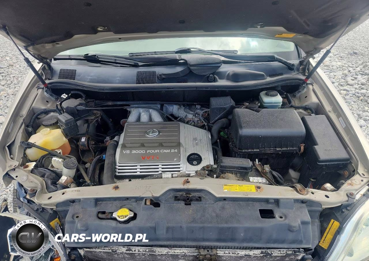2003 Lexus Rx 300 VIN:JTJHF10U130310573 - 12