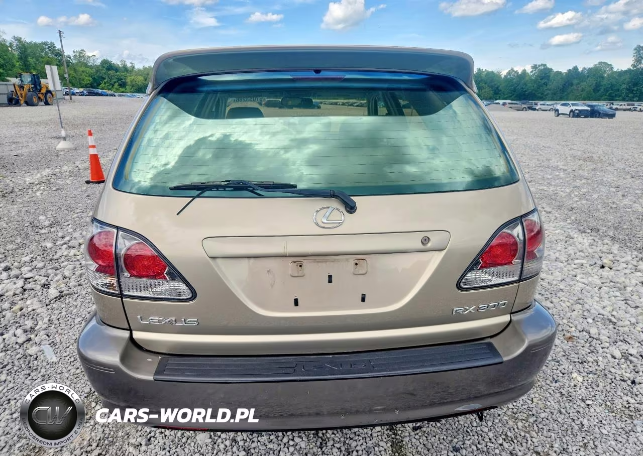 2003 Lexus Rx 300 VIN:JTJHF10U130310573 - 6