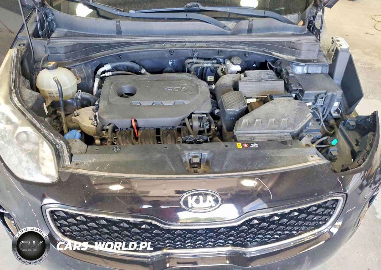 2017 Kia Sportage Lx VIN:KNDPMCAC8H7093009 - 12