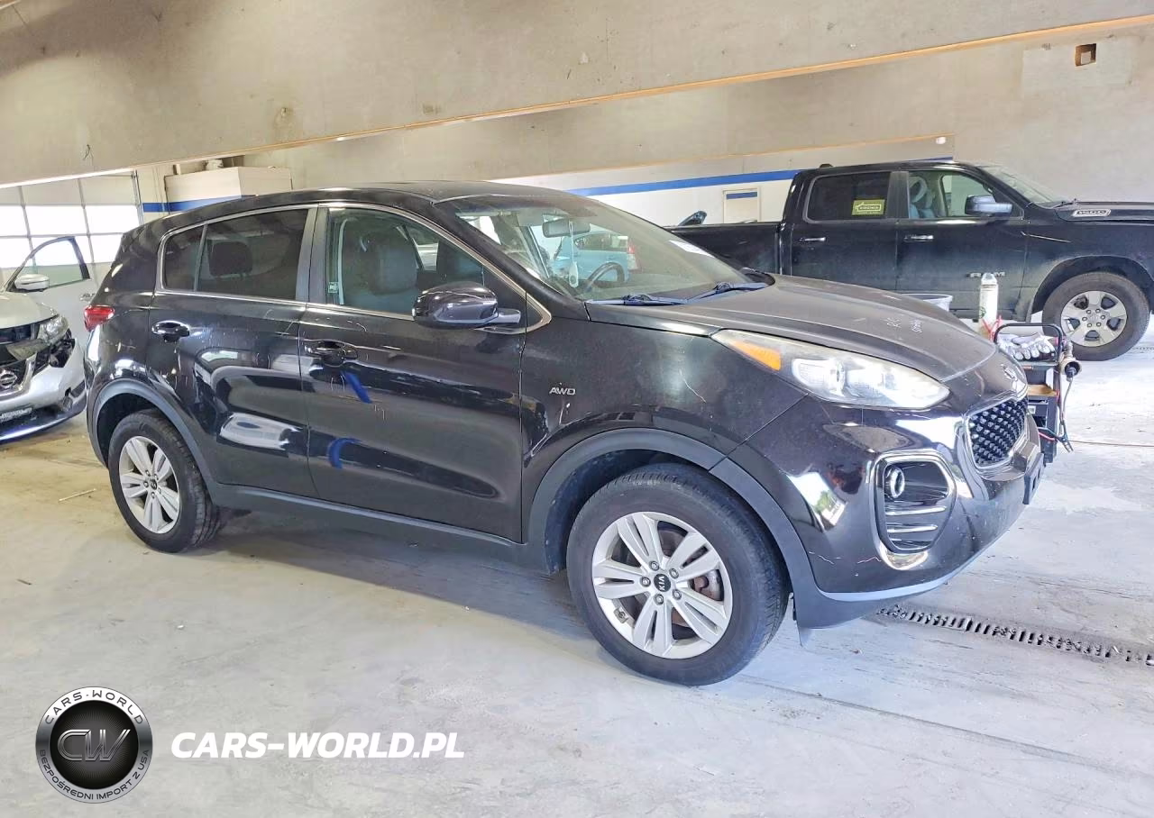 2017 Kia Sportage Lx VIN:KNDPMCAC8H7093009 - 4