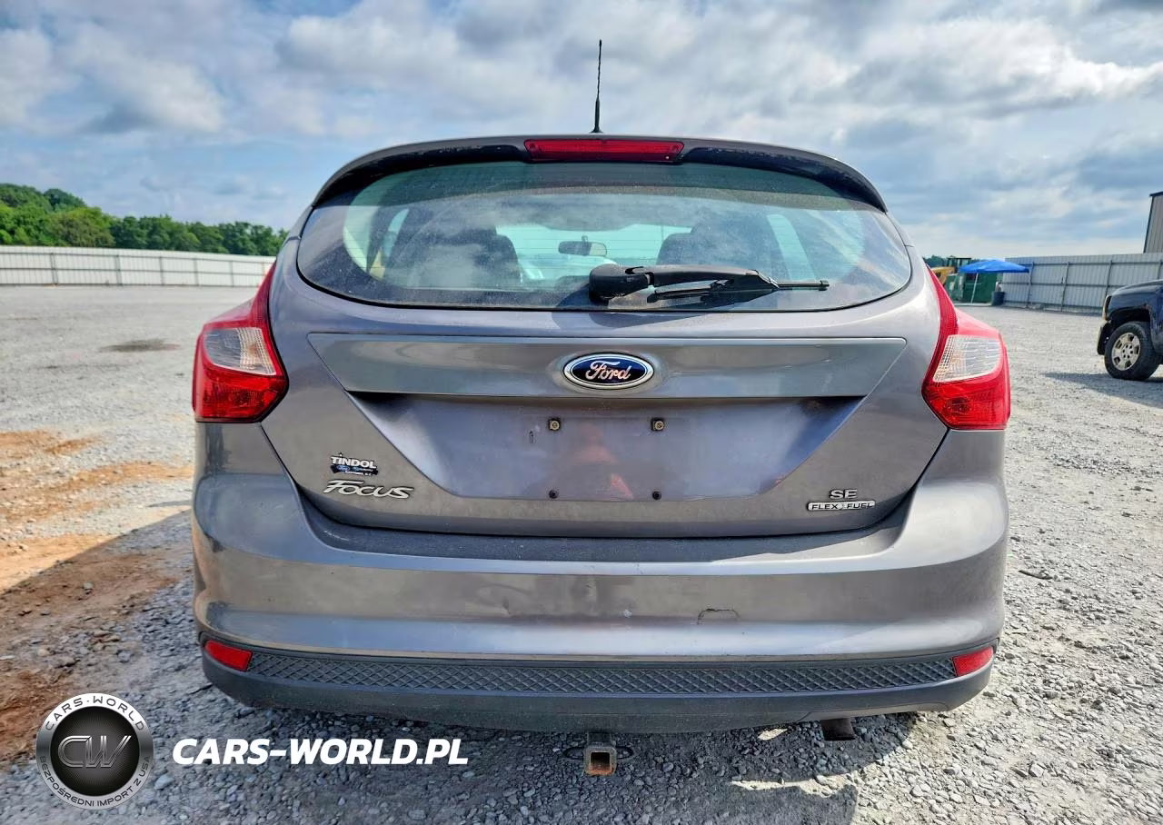 2014 Ford Focus Se VIN:1FADP3K28EL274703 - 6