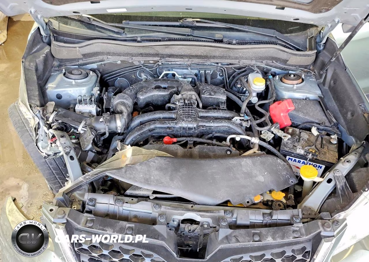 2015 Subaru Forester 2.5I VIN:JF2SJABCXFH547954 - 12