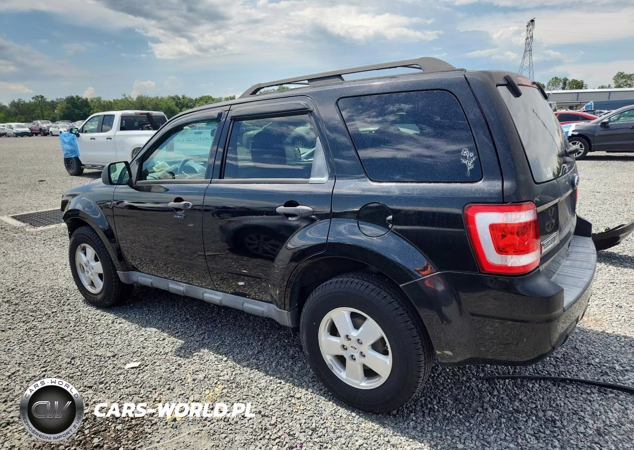 2011 Ford Escape Xlt VIN:1FMCU0DG6BKB84291 - 2