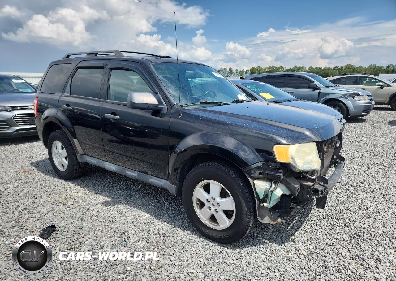 2011 Ford Escape Xlt VIN:1FMCU0DG6BKB84291 - 4