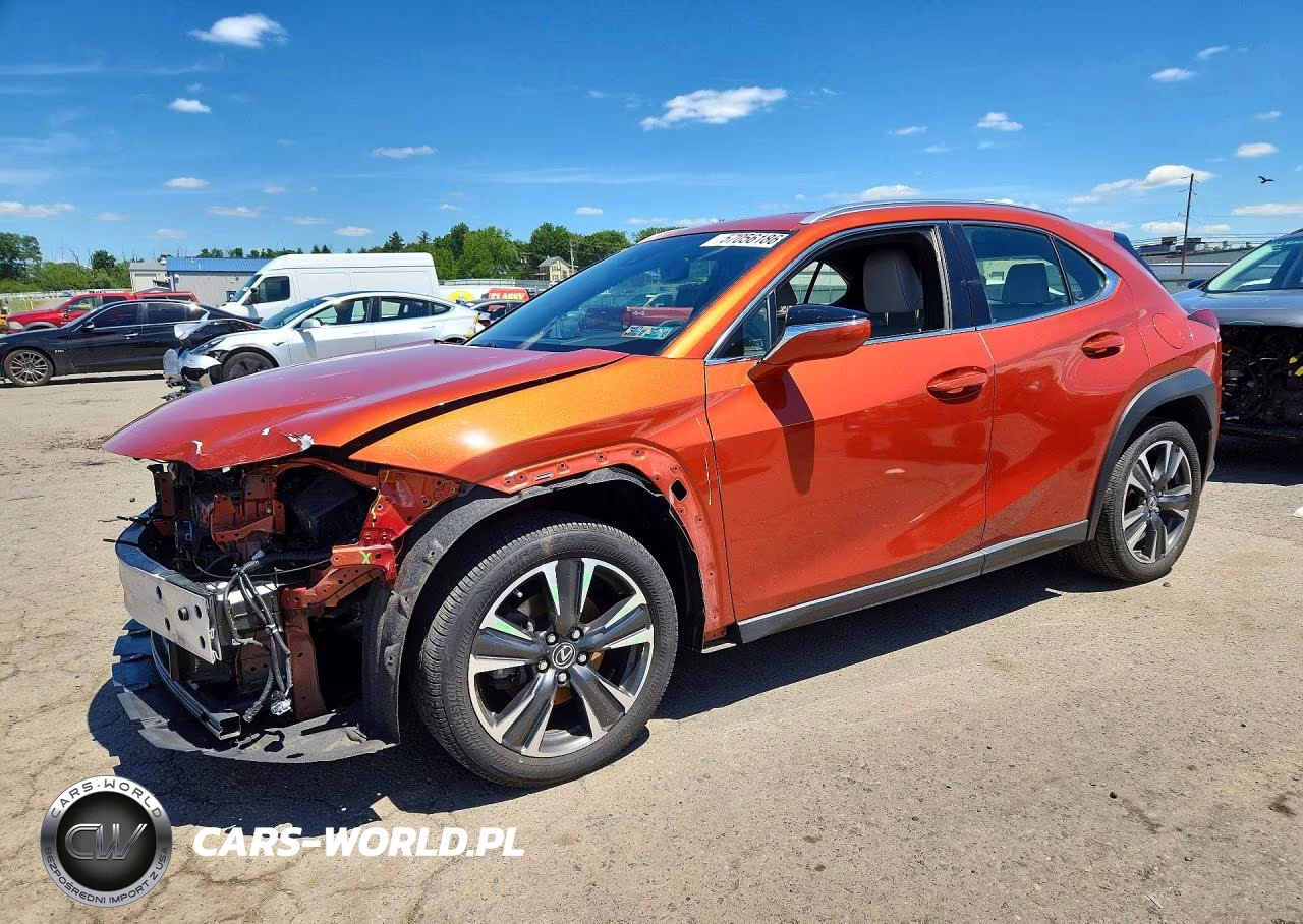 2019 Lexus Ux 250H