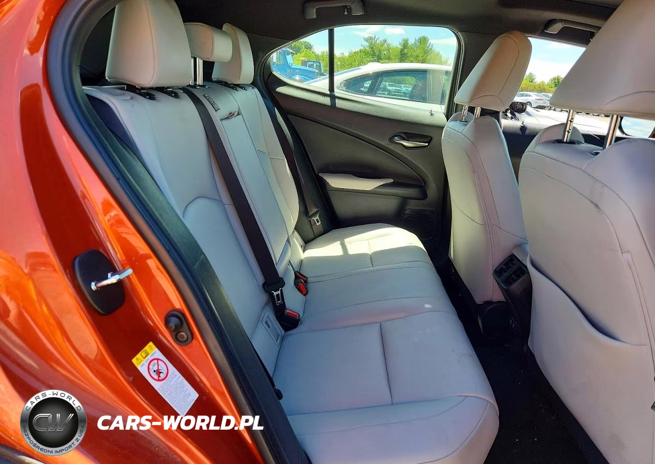 2019 Lexus Ux 250H VIN:JTHU9JBH9K2004036 - 10